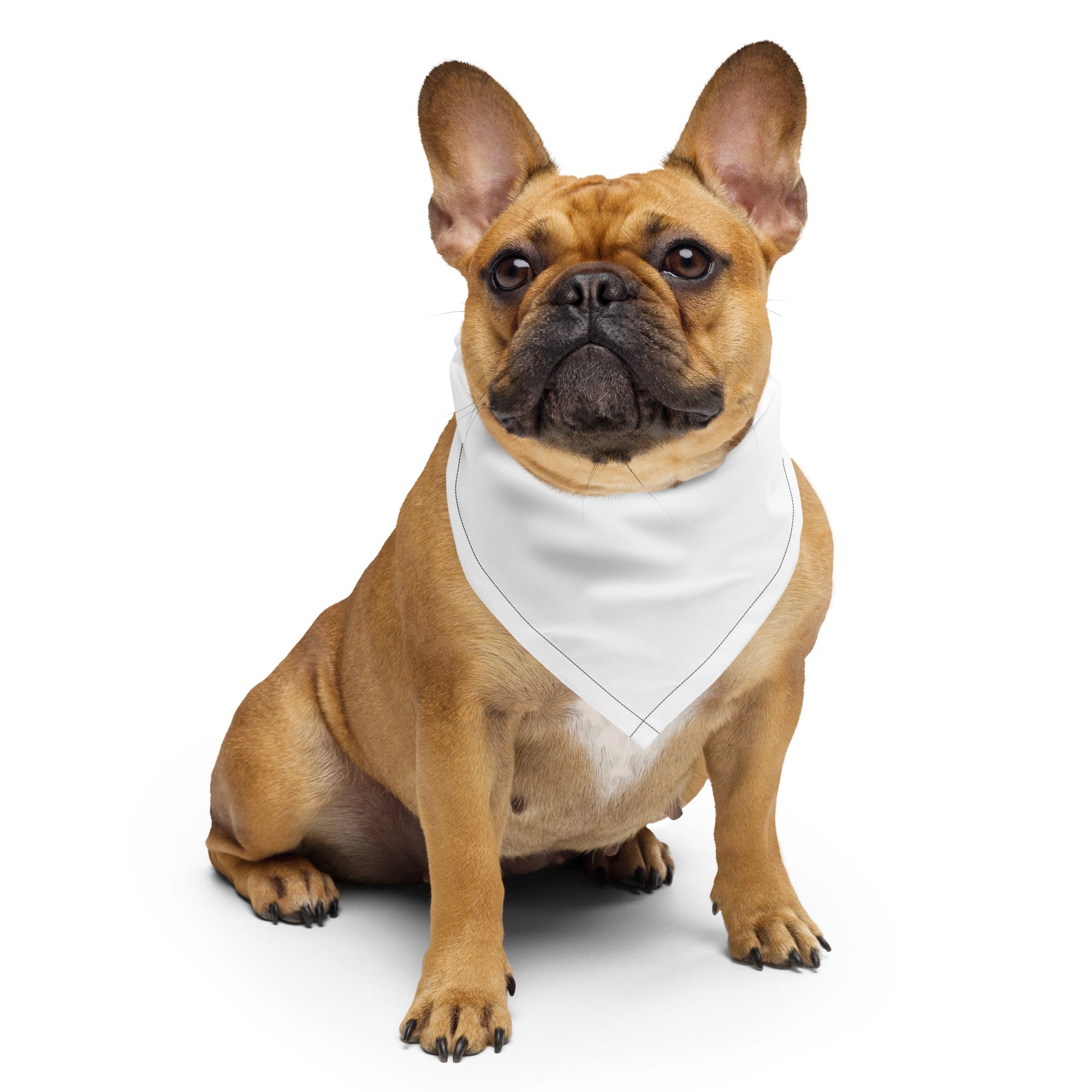 Bandanas & Scarves